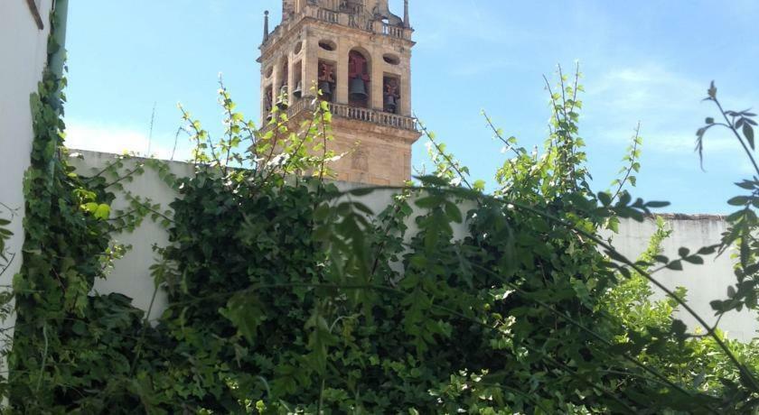 Entre 2 Mezquitas Apartamento 8 Córdoba Exteriér fotografie
